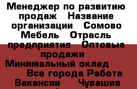 Менеджер по развитию продаж › Название организации ­ Сомово-Мебель › Отрасль предприятия ­ Оптовые продажи › Минимальный оклад ­ 25 000 - Все города Работа » Вакансии   . Чувашия респ.,Алатырь г.